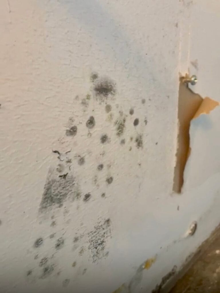 Plíseň na zdi v místnosti.