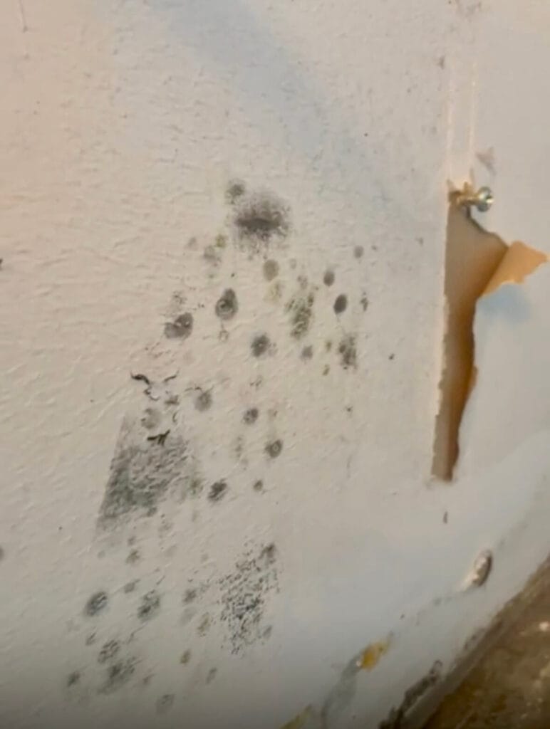 Plíseň na zdi v místnosti.